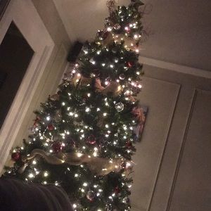 Meet your Posher, Kris